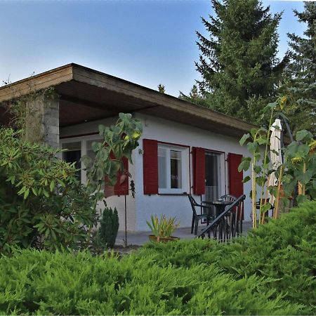 Cozy Holiday Home In G Ntersberge With Garden Guntersberge ภายนอก รูปภาพ